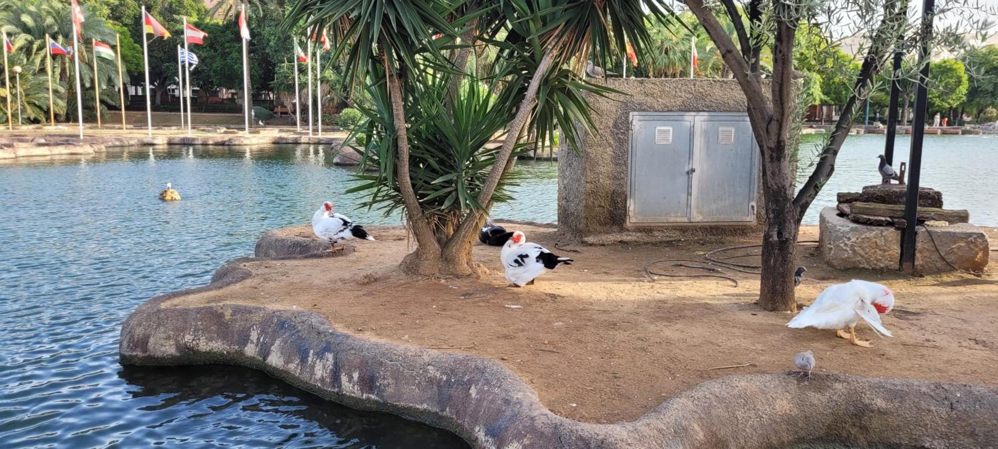 Bungalow Casa De Pablo ラ・マタ エクステリア 写真